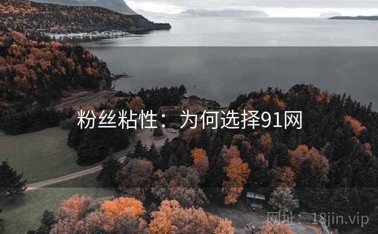 粉丝粘性：为何选择91网