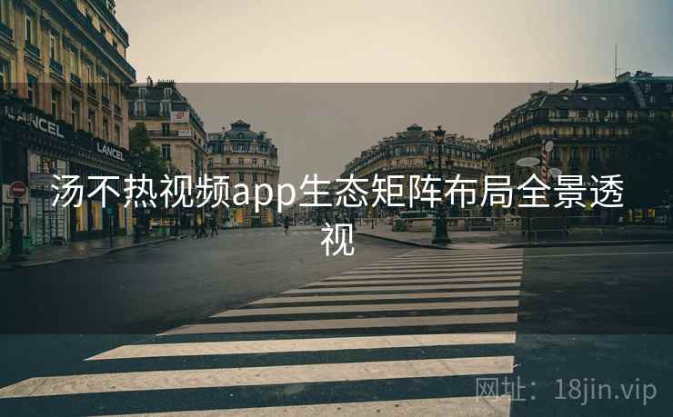 汤不热视频app生态矩阵布局全景透视