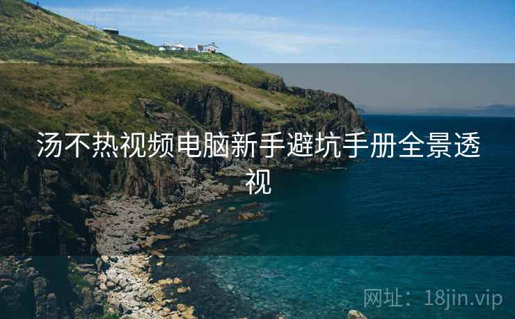 汤不热视频电脑新手避坑手册全景透视