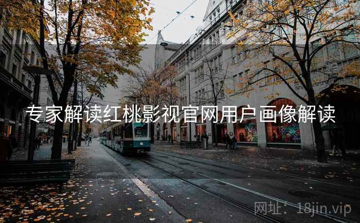 专家解读红桃影视官网用户画像解读
