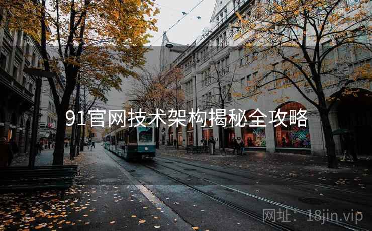 91官网技术架构揭秘全攻略