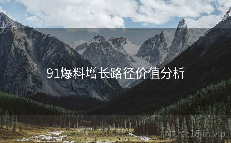 91爆料增长路径价值分析