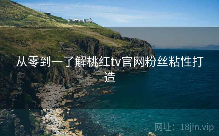 从零到一了解桃红tv官网粉丝粘性打造